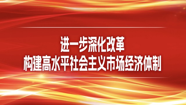 进一步深化改革 构建高水平社会主义市场经济体制